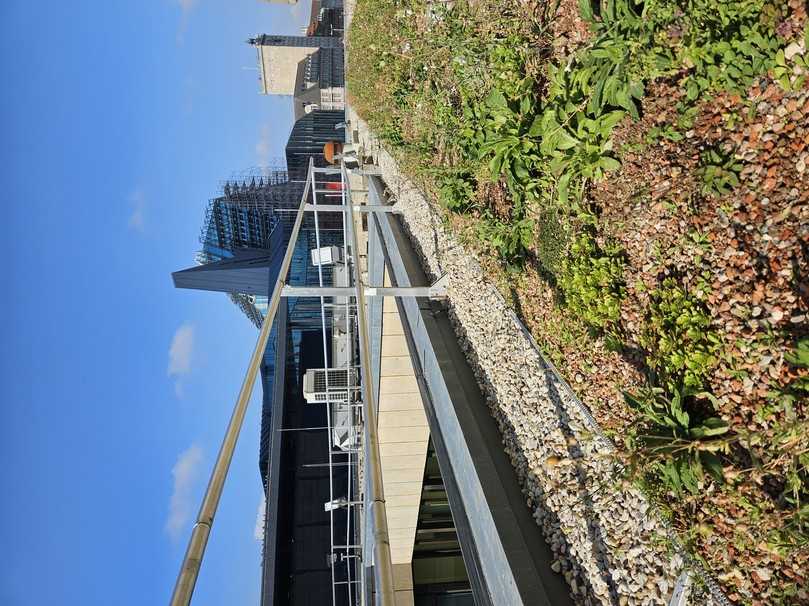 Das durchdringungsfrei verankerte Zinco Arbeitsschutzgeländer Fallnet ASG bietet hier kollektiven Schutz bei allen Arbeiten auf dem Dach. | Foto: Zinco