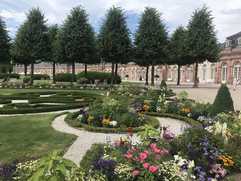 Wie sich der Schlossgarten Schwetzingen für die Zukunft wappnet