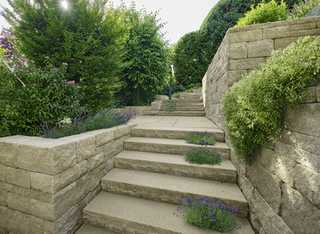 Treppenstufen mit Pflanzen als grüne Hingucker