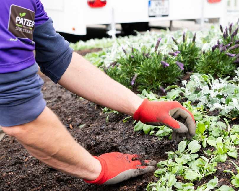 Mit unserem Sortiment können Sie auf unterschiedliche Anforderungen Ihrer Auftraggeber reagieren | Foto: Württembergische Friedhofsgärtner eG