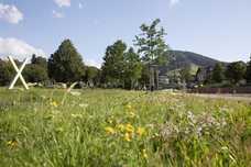 Tal X im Schwarzwald lockt mit Naturgenuss und Action