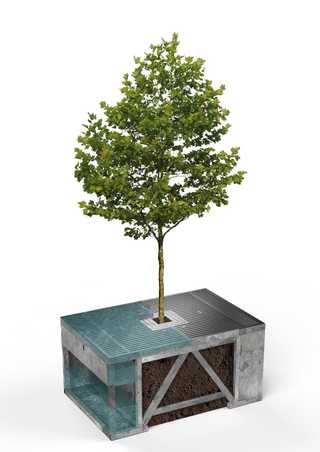 Baumrigolen als Be- und Entwässerungssysteme in urbanen Räumen