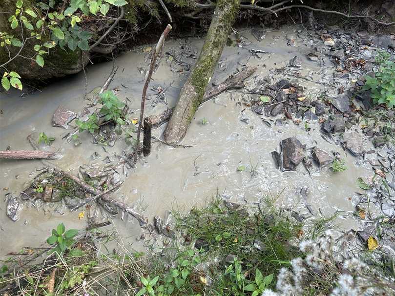 Der Bohrschlamm wurde in großen Mengen in einem Biotop abgeladen. | Foto: Polizei Prüm Der Bohrschlamm wurde in großen Mengen in einem Biotop abgeladen. | Foto: Polizei Prüm