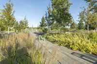 Betonstein – Eine Inspiration der Natur