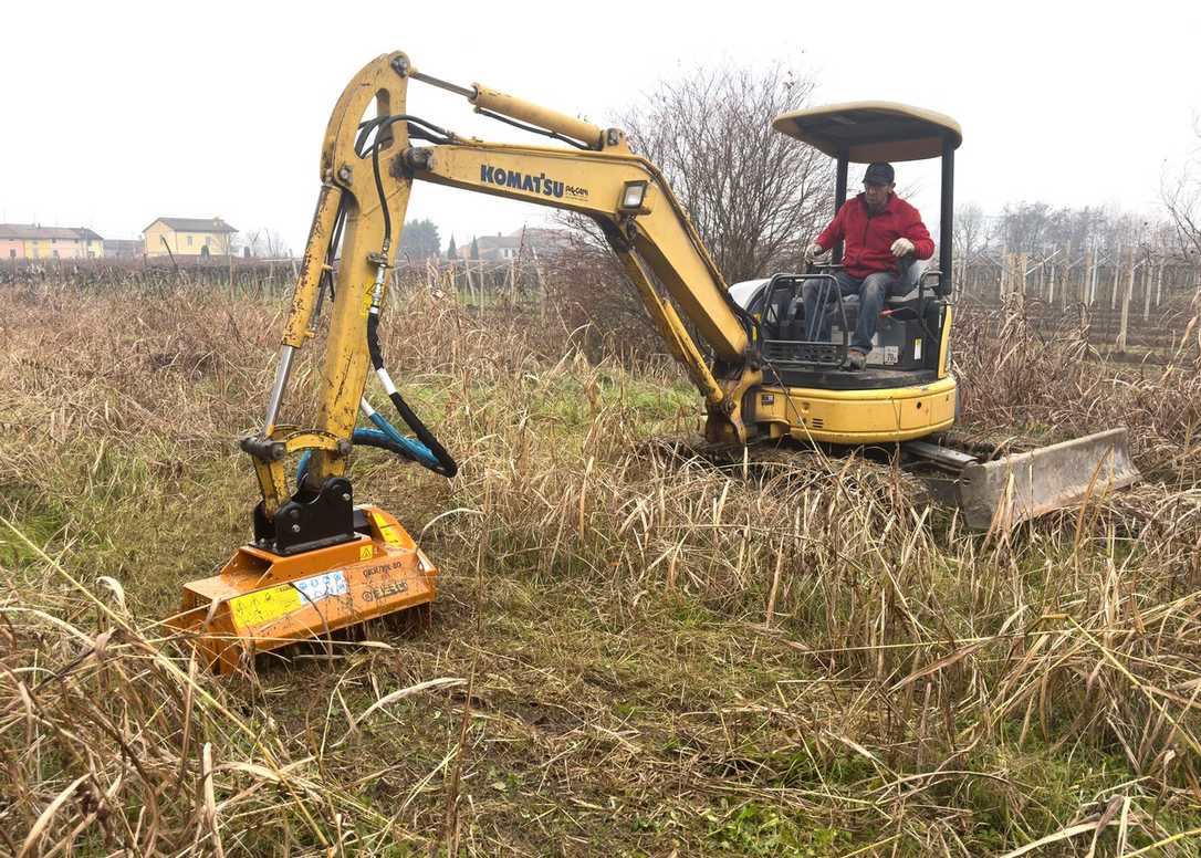 Willmers auf der Demopark 2025 - Im Gepäch den neuen Mulcher von Berti