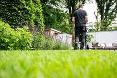Bodenverbesserer und Rasendünger: GaLaBau-Neuheiten für den Sommer