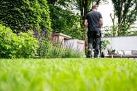 Bodenverbesserer und Rasendünger: GaLaBau-Neuheiten für den Sommer