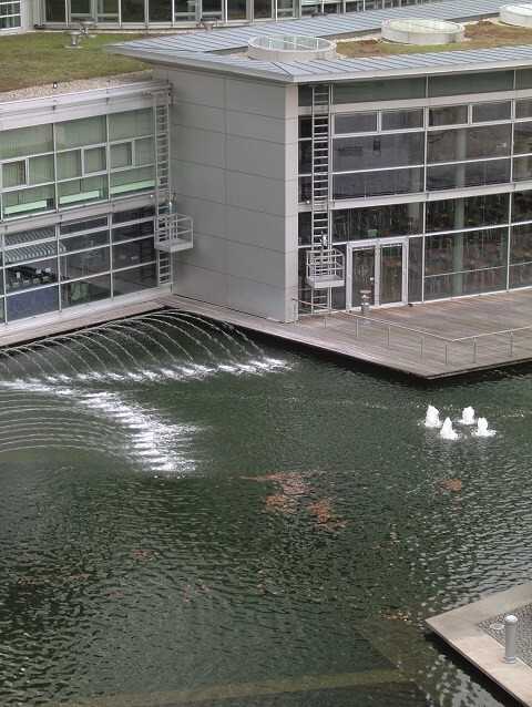 Kombiniert verdunsten mit Gründach und offener Wasserfläche im Bürohausquartier der Nürnberger Versicherung in Nürnberg. Die Verdunstung von den begrünten Dachflächen verbessert das Innenstadt- klima und verzögert den Abfluss in die attraktiv gestalteten offenen Wasserflächen. | Foto: König