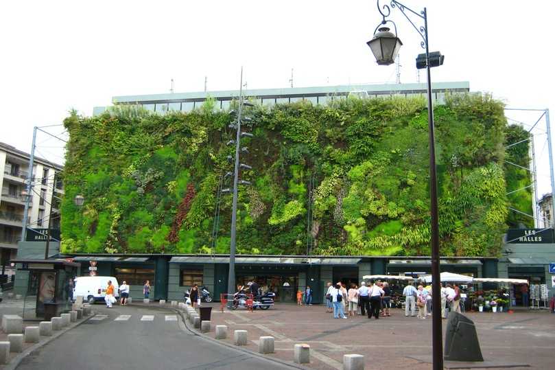 Klimawirksame Vertikalbegrünung | Foto: Kienleplan Klimawirksame Vertikalbegrünung | Foto: Kienleplan