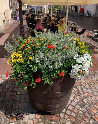 Mobile Blütenpracht peppt Fußgängerzonen auf