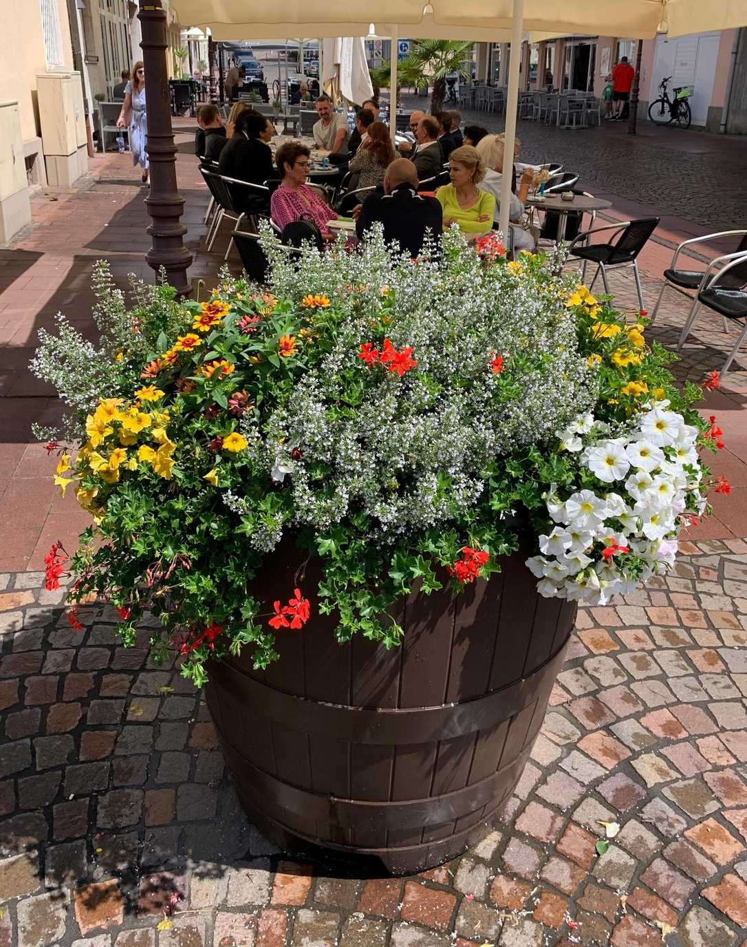 Stadtbild mit Blütenpracht verschönern Stadtbild mit Blütenpracht verschönern