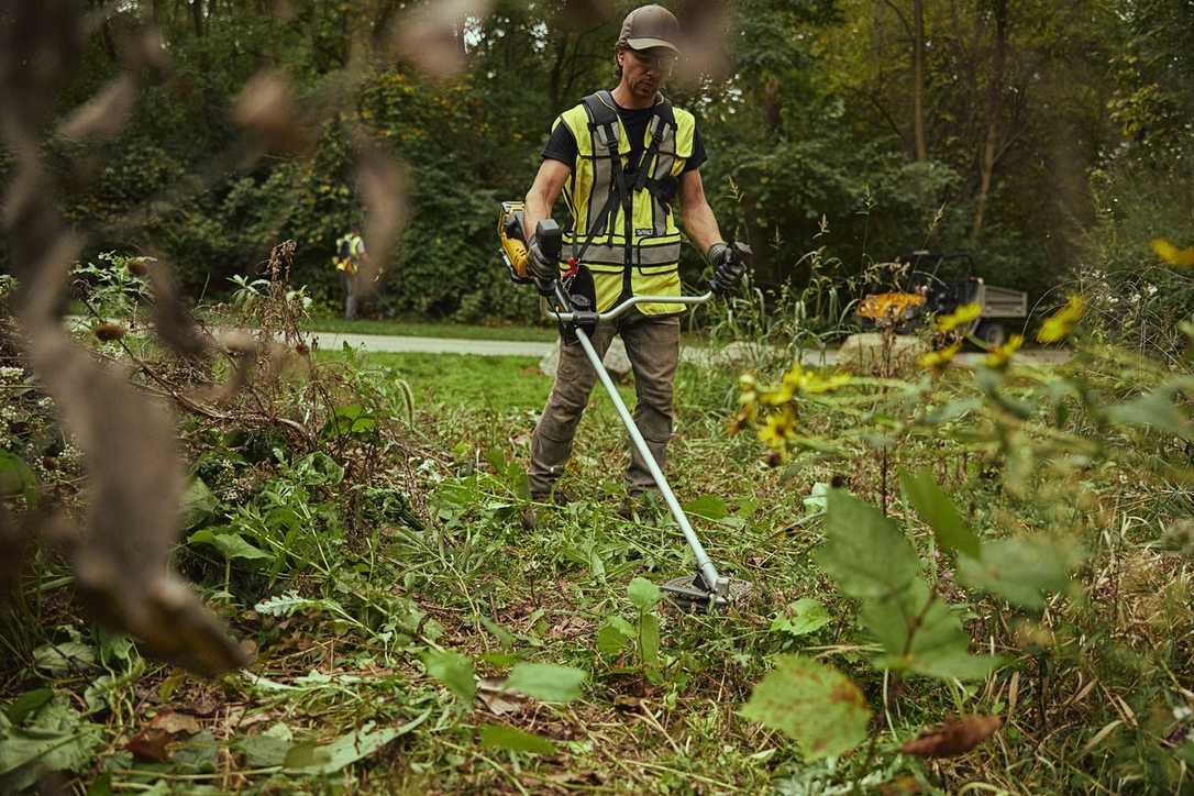 Geschenk zu Ostern: Neue Akku-Motorsensen für Profis und Heimwerker von Dewalt