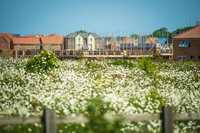 „Neuer Tiefpunkt": Umweltverbände kritisieren Bau-Turbo