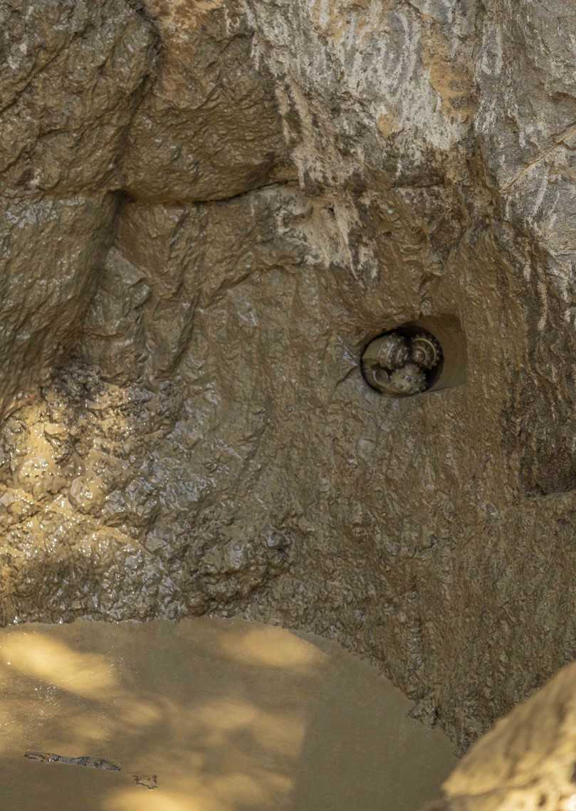 Erfolgreiche Pilotbohrung im Wirelineverfahren | Foto: NR Unternehmensgruppe