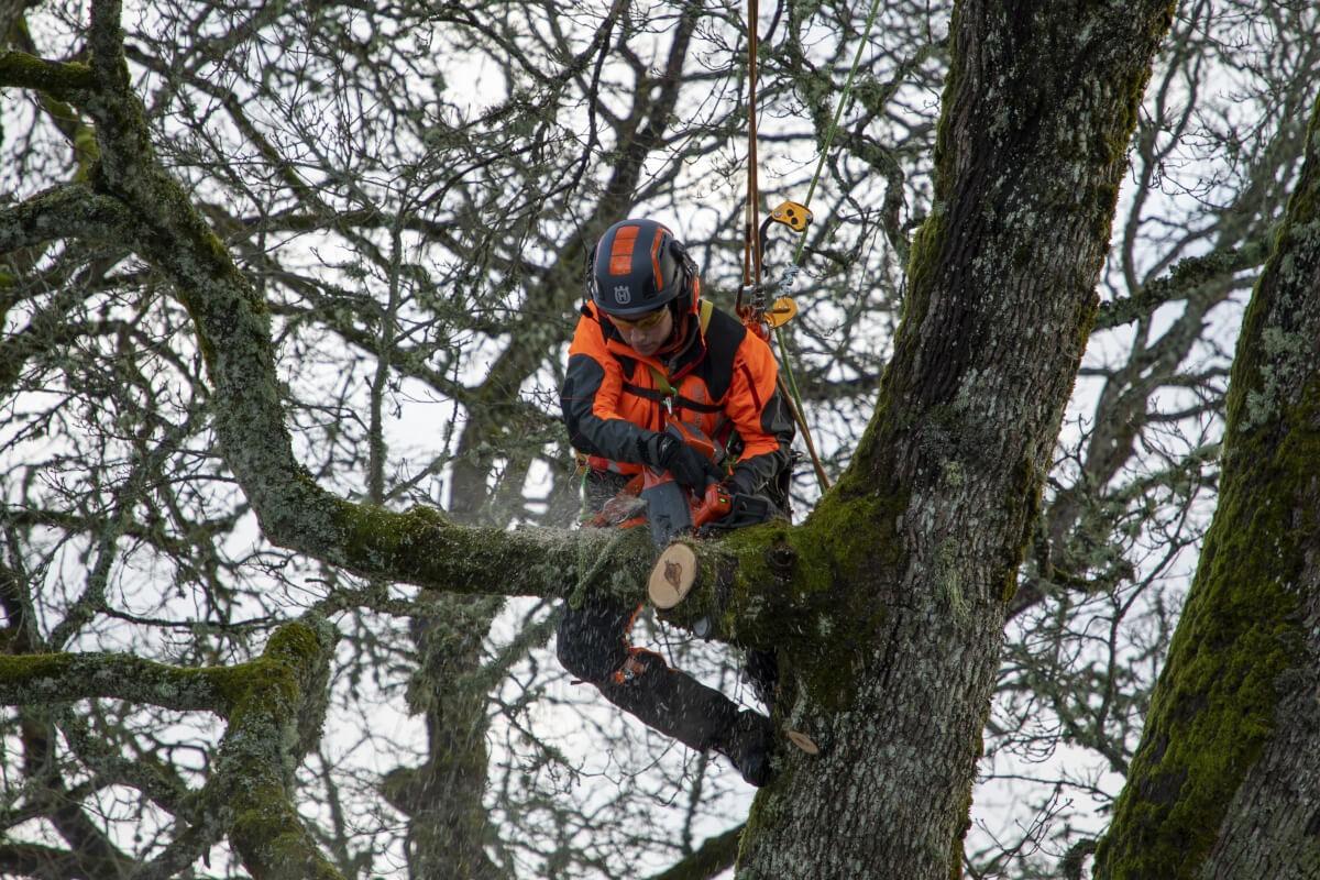 LEDs im Sichtfeld des Anwenders zeigen den Akku-Status. Eine rote Warnleuchte zeigt an, wenn die Kettenbremse eingeschaltet ist.