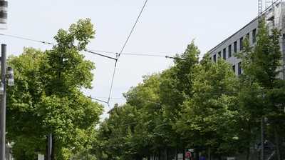 BdB warnt vor Ablehnung der grünen Transformation