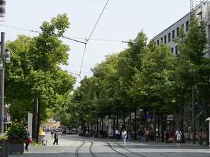 BdB warnt vor Ablehnung der grünen Transformation