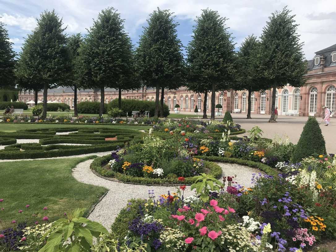Schlossgarten Schwetzingen: Klimawandel & Denkmalschutz im Fokus