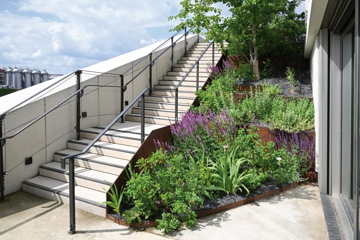 Entlang der Stufen fungieren Elemente aus Cortenstahl zugleich als Treppenwangen und Beeteinfassungen. Für die 2.200 Quadratmeter große Dachfläche setzte die Firma Richard Brink vielerlei Anforderungen als individuelle Sonderlösungen um. | Foto: Richard Brink