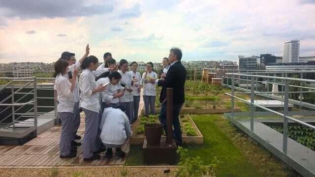 Frisch vom Dach in die Küche: das Urban-Farming-Dach vermittelt den Studenten alles über Anbau und Pflege der verschiedensten Pflanzen. | Foto: Ecovegetal Frisch vom Dach in die Küche: das Urban-Farming-Dach vermittelt den Studenten alles über Anbau und Pflege der verschiedensten Pflanzen. | Foto: Ecovegetal