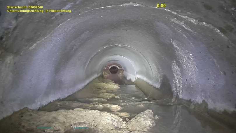 Kalkablagerungen | Foto: Mauerspecht