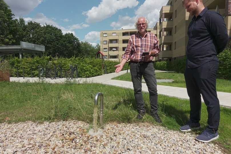 Innenhof Berlin, Dolomitenstraße 47 bis 49: Ist der unterirdische Regenspeicher voll, wird ein Teil des Wassers automatisch zur Versickerung in einer Mulde an die Oberfläche gepumpt. Das schafft Retentionsraum für den nächsten Niederschlag. | Foto: König