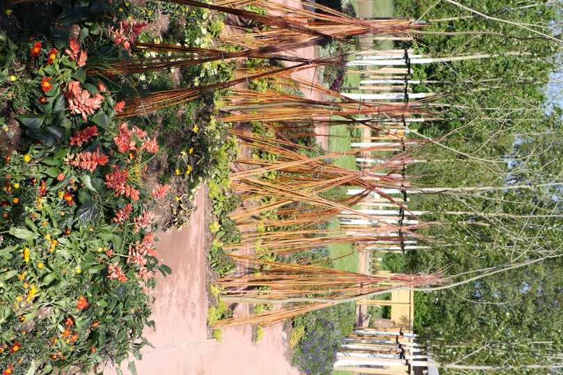 Mit Unterstützung des VGL Bayern realisierten Schülerinnen und Schüler des Staatlichen Beruflichen Schulzentrums Regensburger Land den Schaugarten „Schlafender Drachen“. | Foto: VGL Bayern