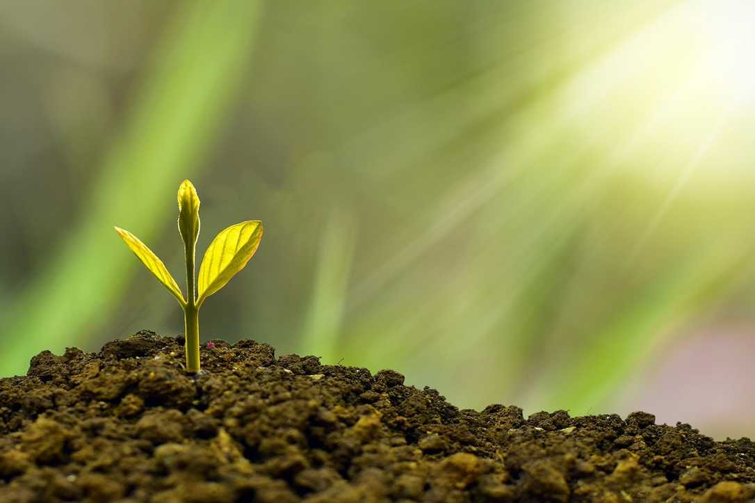 Erste Nachhaltigkeitsberichte im Garten- und Landschaftsbau vorgelegt Erste Nachhaltigkeitsberichte im Garten- und Landschaftsbau vorgelegt