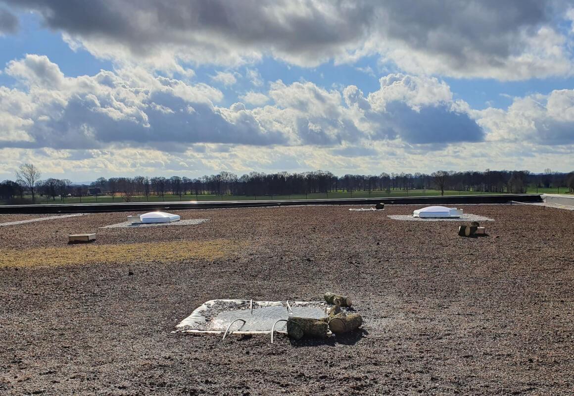 Wasserflächen, Totholz und Sandlinsen nützen heimischen Tierarten als Lebensraum und Brutstätten. | Foto: ZinCo GmbH