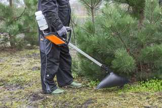 Wie Profis das Unkraut in den Griff bekommen