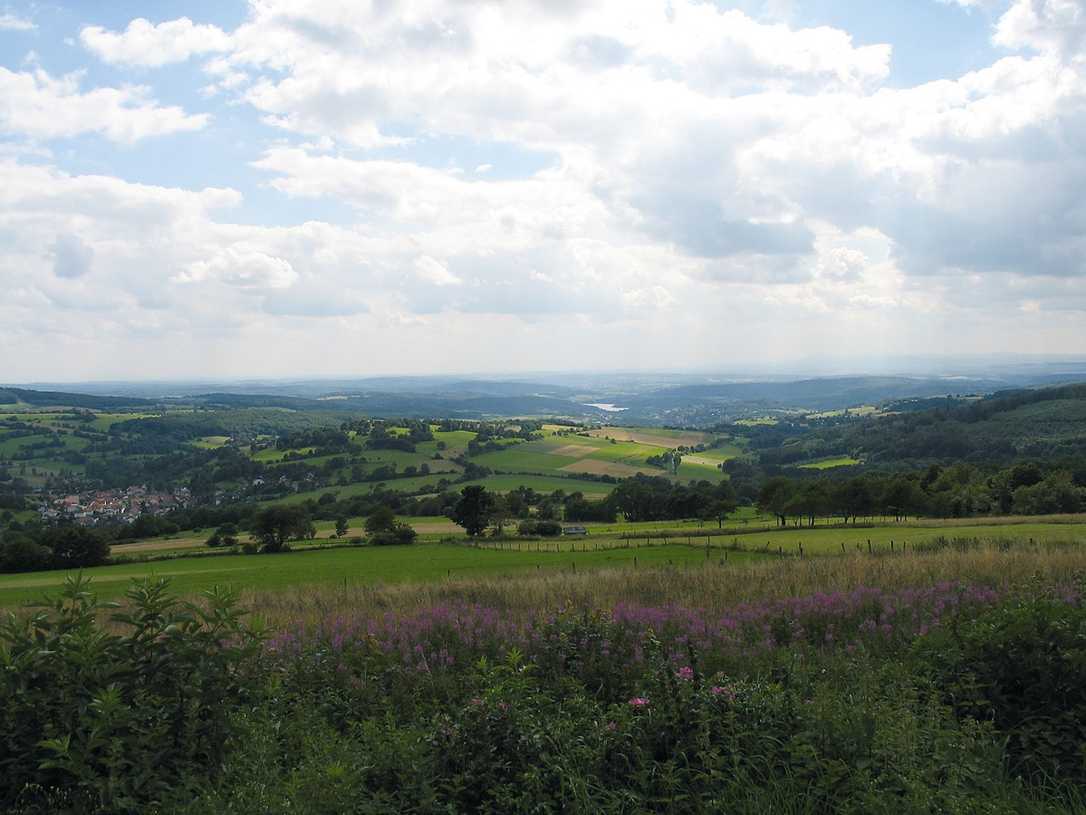 Die Landesgartenschau in Hessen findet 2027 an elf Orten in der Region Oberhessen statt.