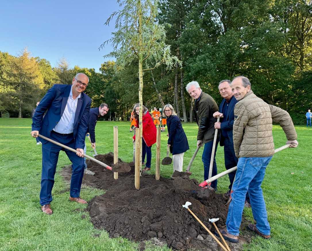 Einheitsbuddeln: Hängeweide in Bremerhaven für Klimaschutz gepflanzt