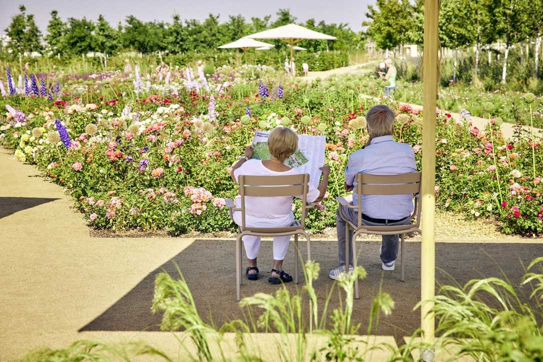 Buga 2023 in Mannheim: Nachhaltigkeit als Erfolgsfaktor Buga 2023 in Mannheim: Nachhaltigkeit als Erfolgsfaktor
