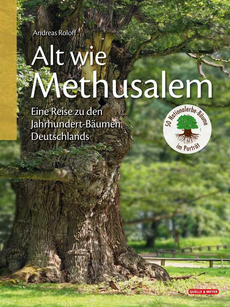 Das Buch stellt 50 alte und herausragende Bäume, die dieses Prädikat bisher erhalten haben, detailliert vor. | Foto: Quelle & Meyer Verlag Das Buch stellt 50 alte und herausragende Bäume, die dieses Prädikat bisher erhalten haben, detailliert vor. | Foto: Quelle & Meyer Verlag