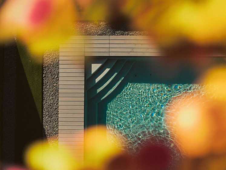 Bluegardens bietet geführte Messerundgänge