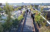 New York's Grüner Laufsteg