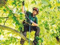 Fortbildung zum Fachagrarwirt: „Wichtiges Signal für Berufsstand“