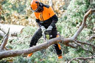 Kettensägen - Tests, Neuheiten & Empfehlungen 2026