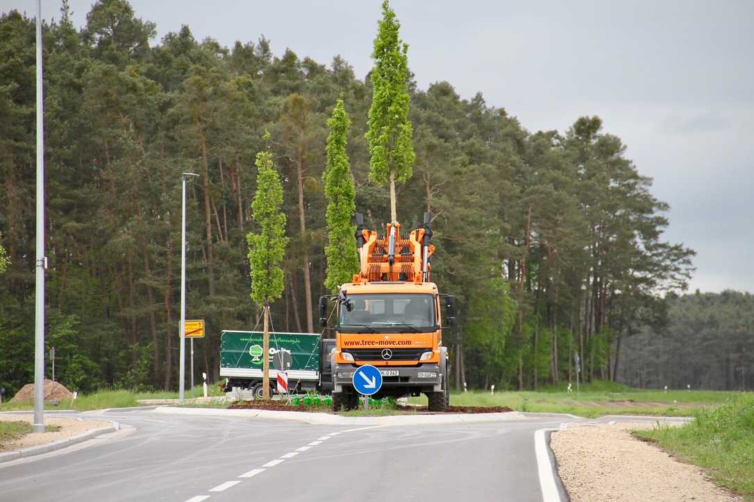 Bäume zur Verkehrsberuhigung in der neuen Ortsdurchfahrt Unterrödel Bäume zur Verkehrsberuhigung in der neuen Ortsdurchfahrt Unterrödel