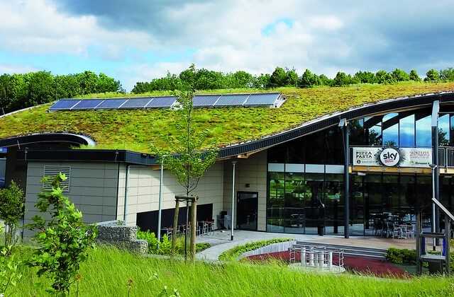 Gründach mit Schwung