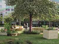 Mit Pflanzenkohle Boden und Klima verbessern