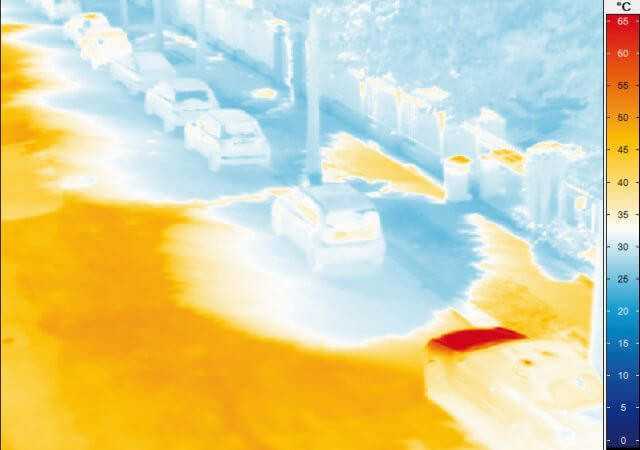 TU Dresden: Stadtbäume mildern Hitzewellen