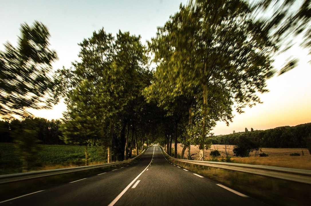 Neuer Leitfaden von Haymarket Media zu Baumpflege und Verkehrssicherheit Neuer Leitfaden von Haymarket Media zu Baumpflege und Verkehrssicherheit