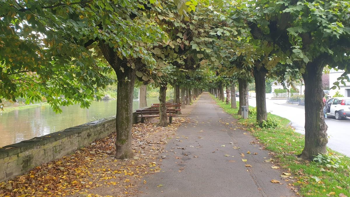 Allee an der Wupper bei Opladen | Foto: BH