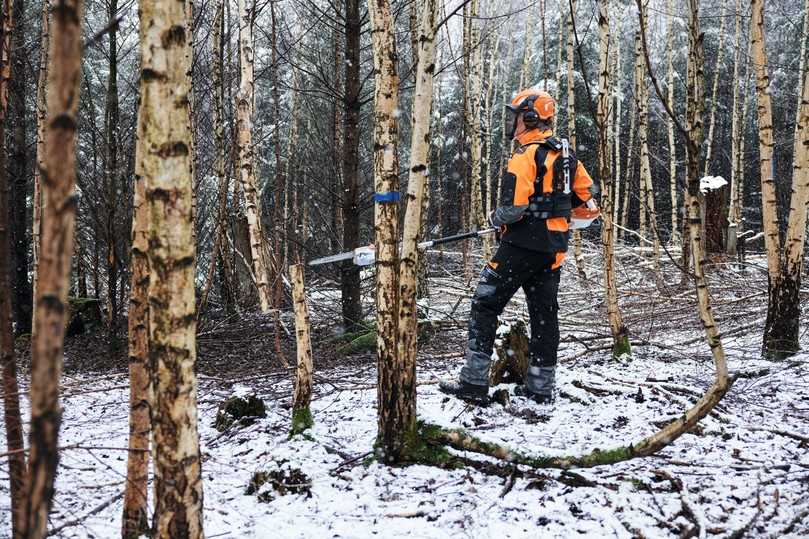 Die leistungsstarke Forstpflegesäge von Stihl lässt sich exakt führen und ermöglicht ein komfortables Arbeiten im Stehen bei der Jungbestandspflege oder der Mischwuchsregulierung im Wald. | Foto: Stihl Die leistungsstarke Forstpflegesäge von Stihl lässt sich exakt führen und ermöglicht ein komfortables Arbeiten im Stehen bei der Jungbestandspflege oder der Mischwuchsregulierung im Wald. | Foto: Stihl