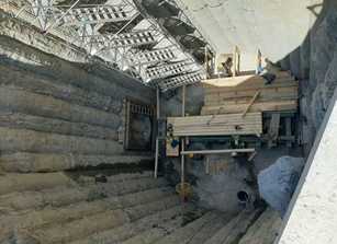 Bauen mit Rücksicht auf den Habicht