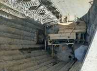 Bauen mit Rücksicht auf den Habicht