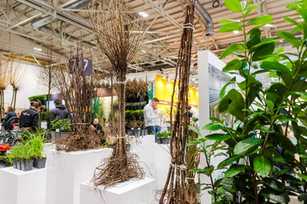 ++ Neue Komponenten für den Betrieb von Gewächshäusern ++ Torffreie Substrate