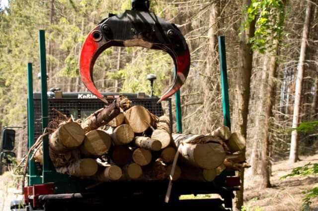 Auch der Transport von sperrigen, unhandlichen Baumstämmen ist für den Big Foot ein Kinderspiel. | Foto: Atlas Auch der Transport von sperrigen, unhandlichen Baumstämmen ist für den Big Foot ein Kinderspiel. | Foto: Atlas