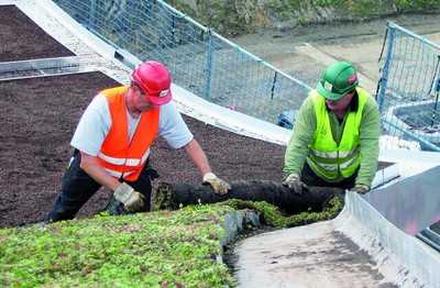 Gründach mit Schwung